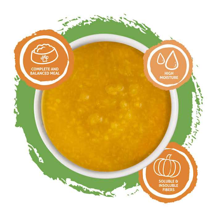 Pureed Pumpkin Food Supplement for Cats & Dogs V4405