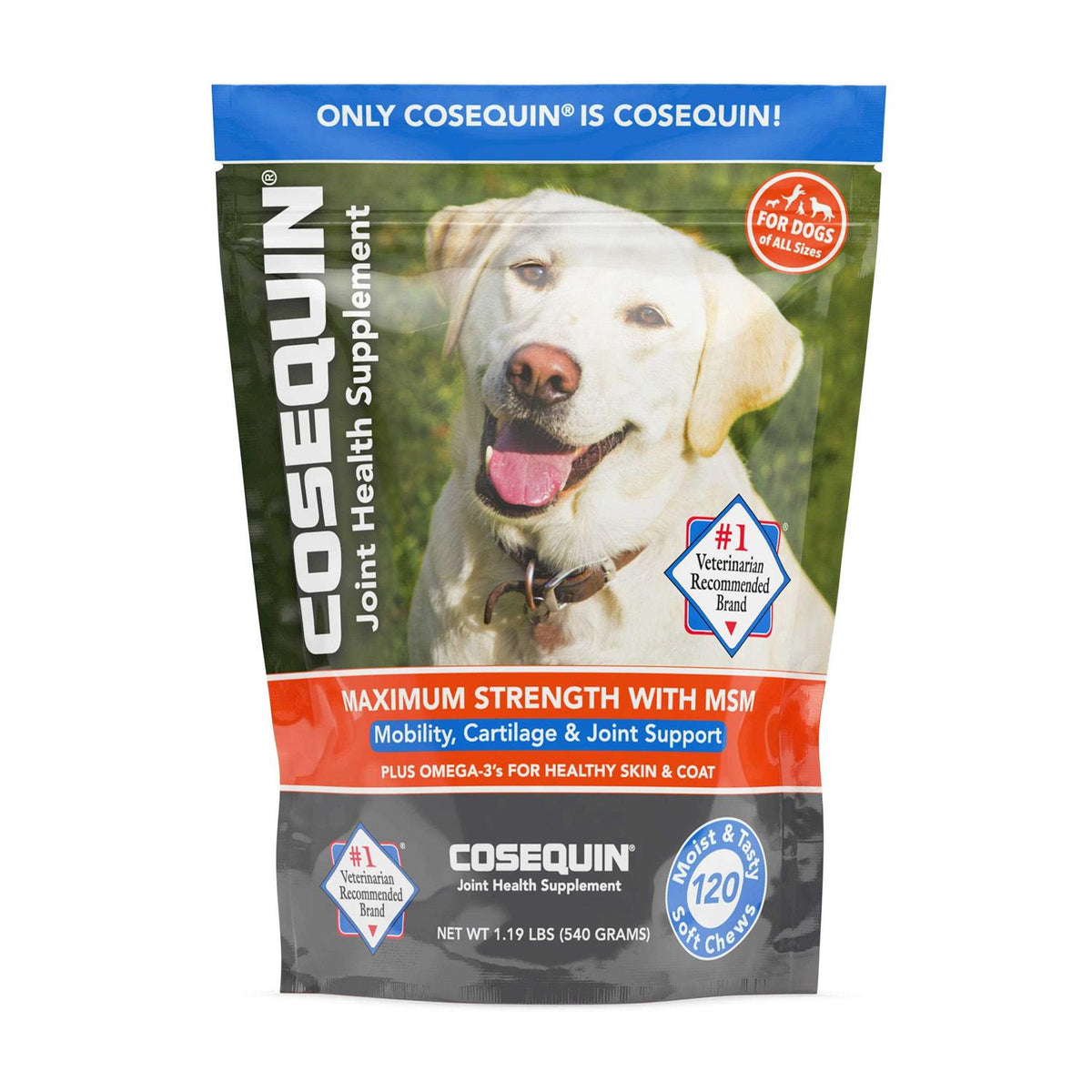 Soft Chews with MSM Plus Omega-3s for Dogs H195