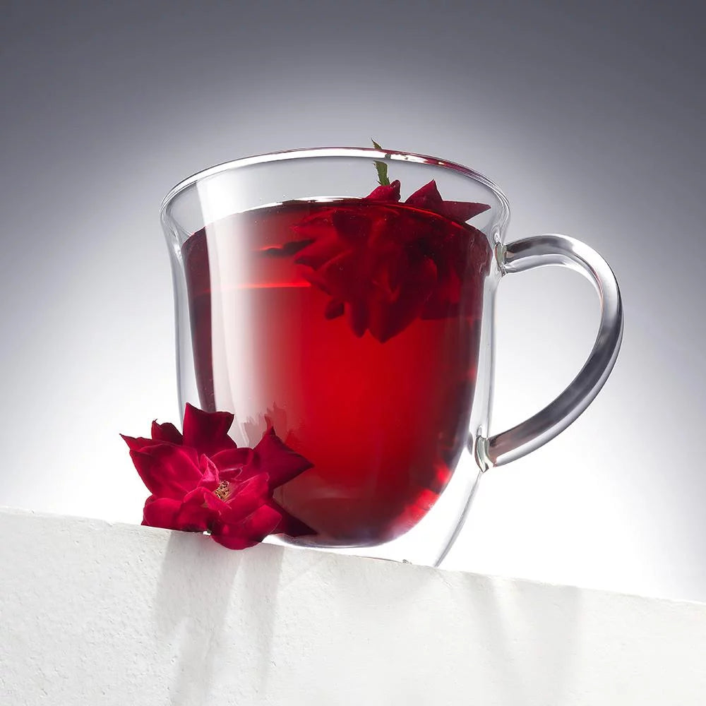 Glass Double Wall Insulated Coffee Mug Set of 2 13.5 oz Z21279