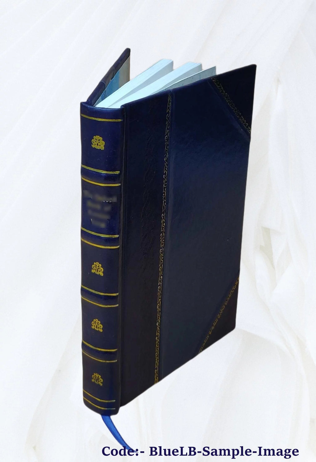 Rio de Janeiro Piauhy Impressões de Viagem Leather Bound K2666