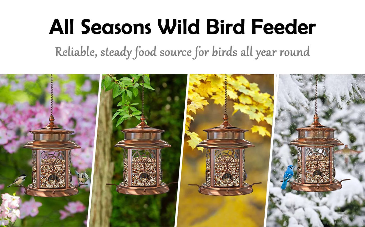 Solar Birdfeeder E67929