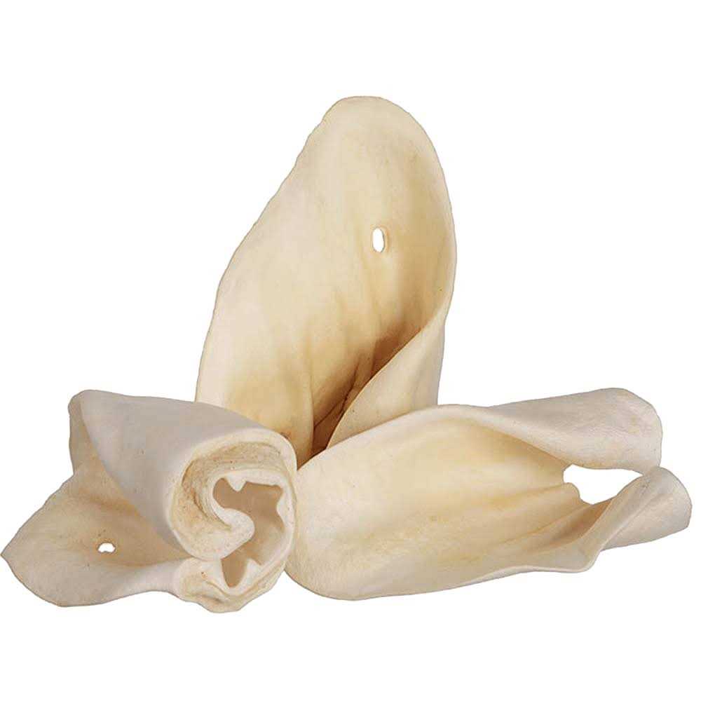 Cow Ears L8521