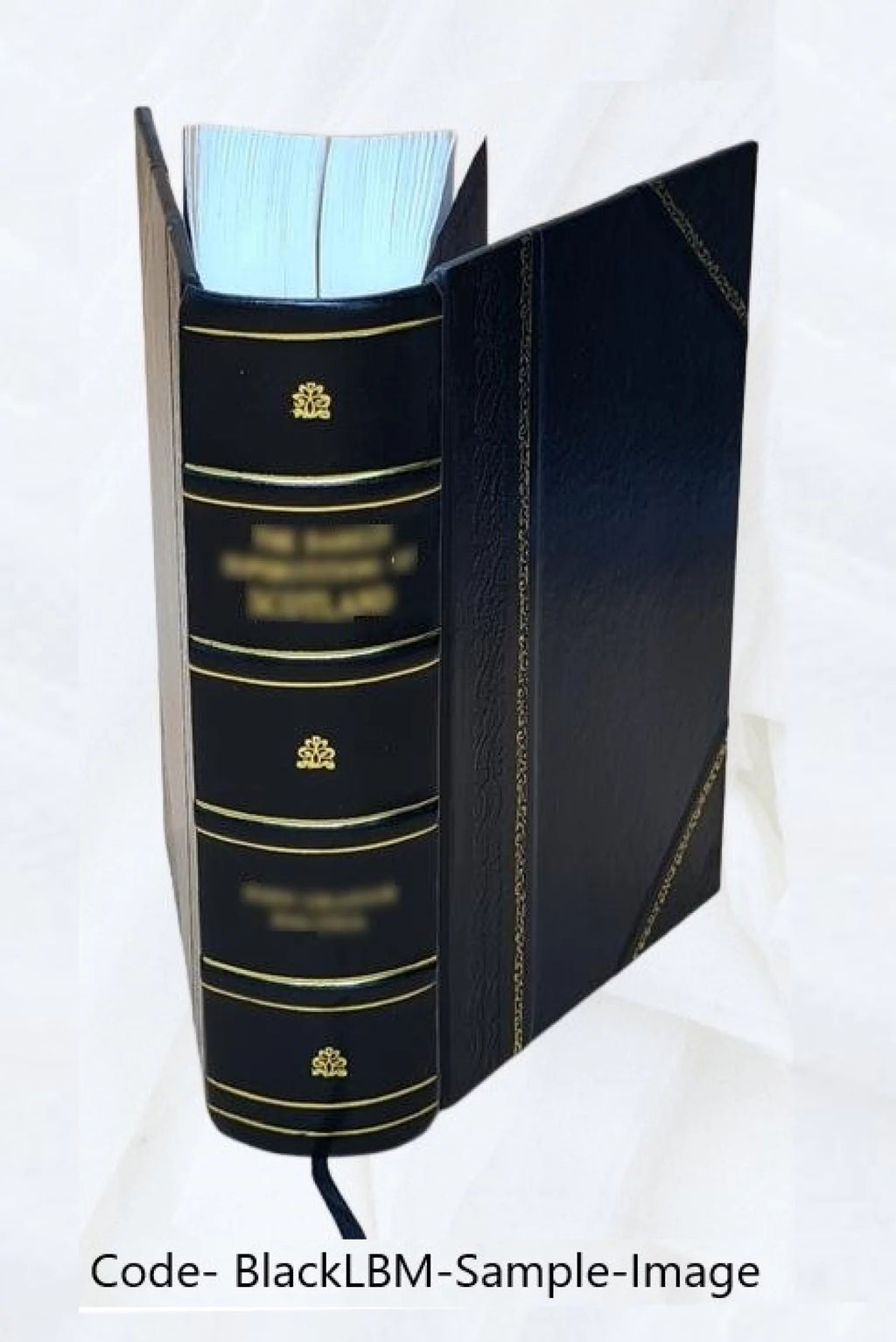 History of St. Charles, Montgomery, and Warren Counties, Missouri Leather Bound M8879