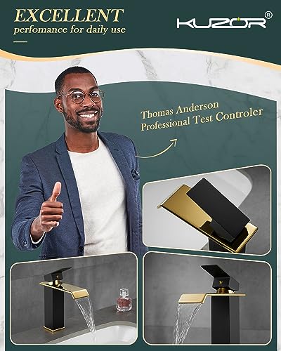 Black and Gold Single Hole Stainless Steel Bathroom Faucet Z457968
