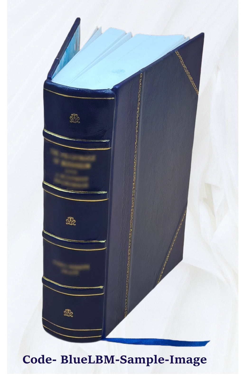 Leather Bound Book N6310