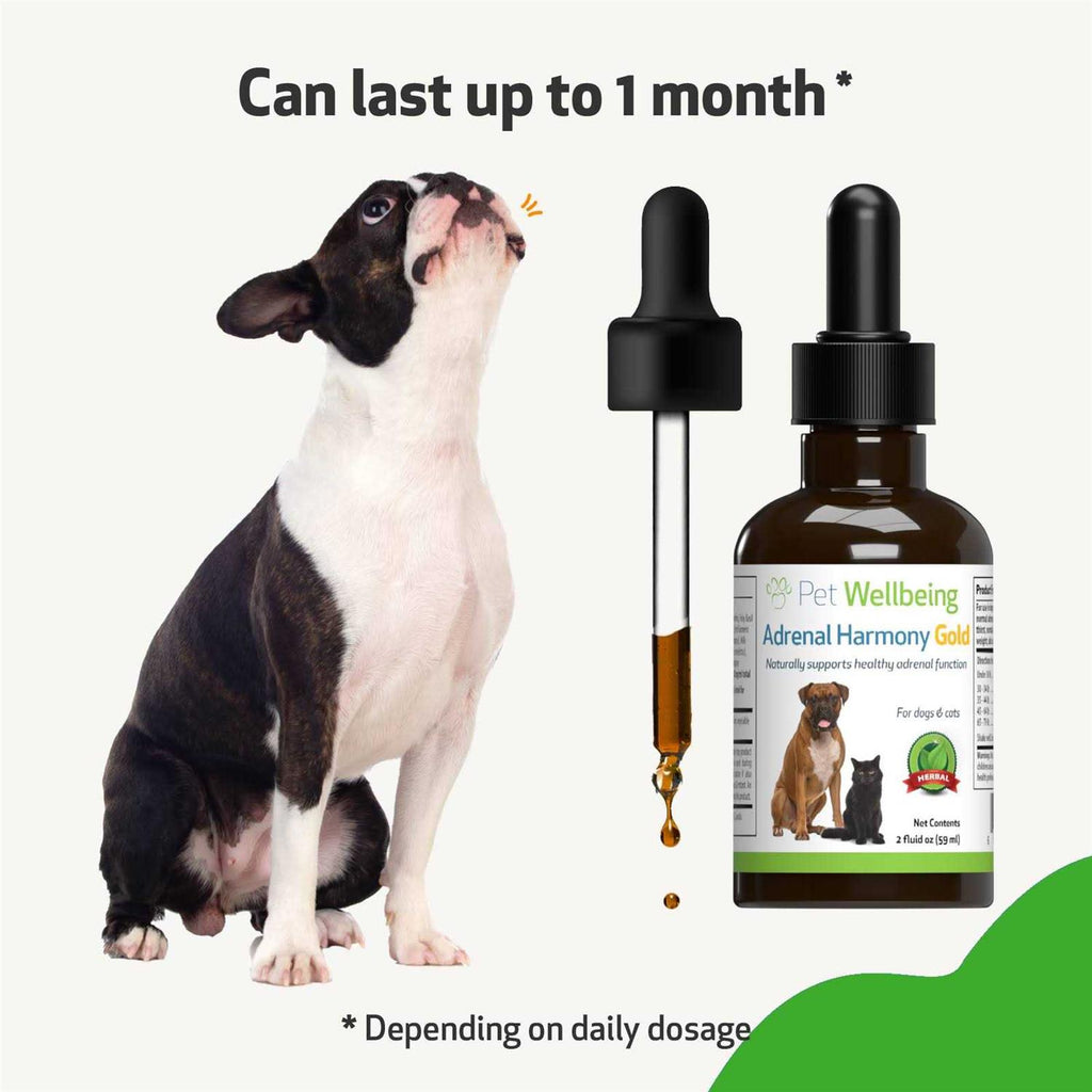 Adrenal Harmony Gold for Dog Cushing's D972