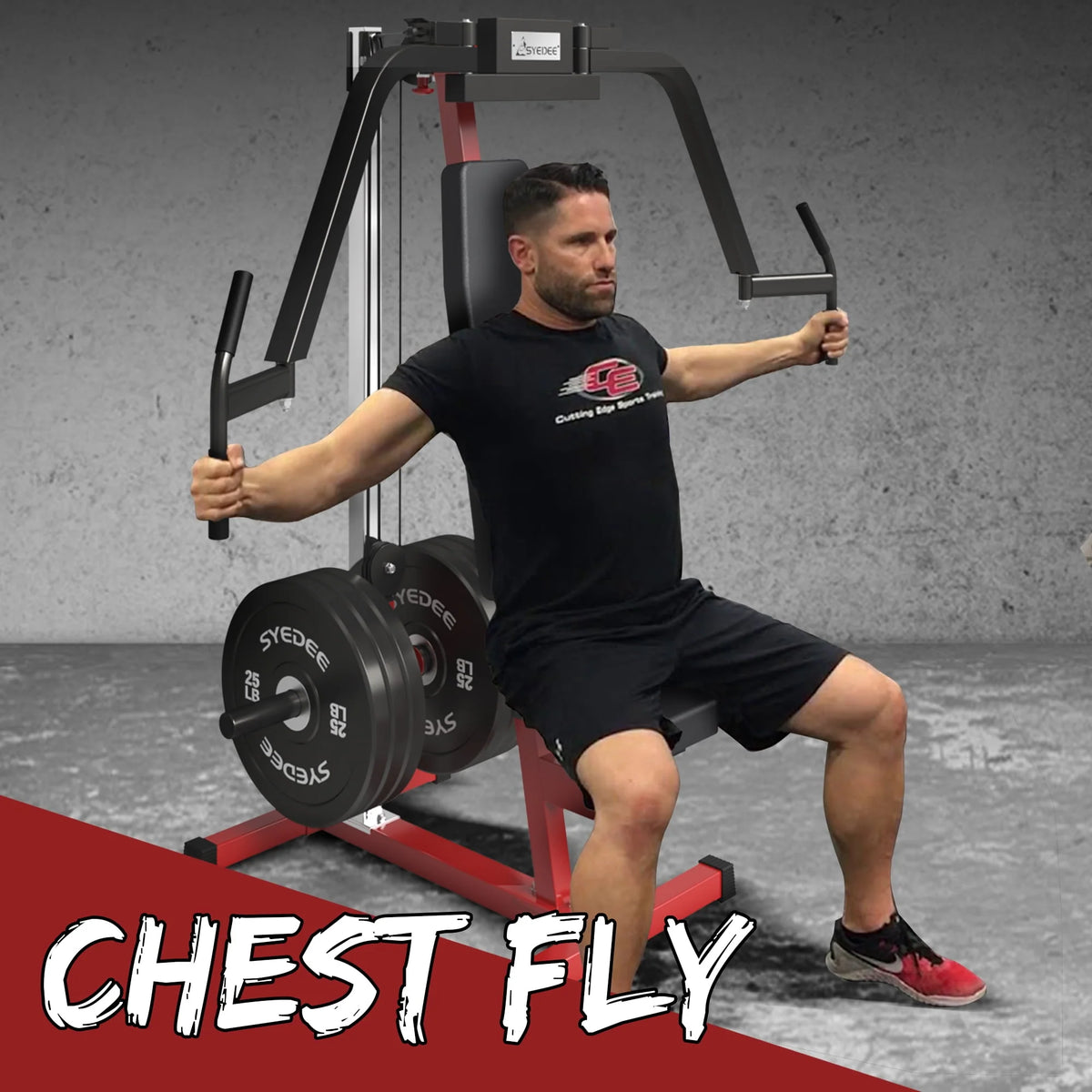 Chest Fly and Reverse Delt Machine 400 lbs Y9729