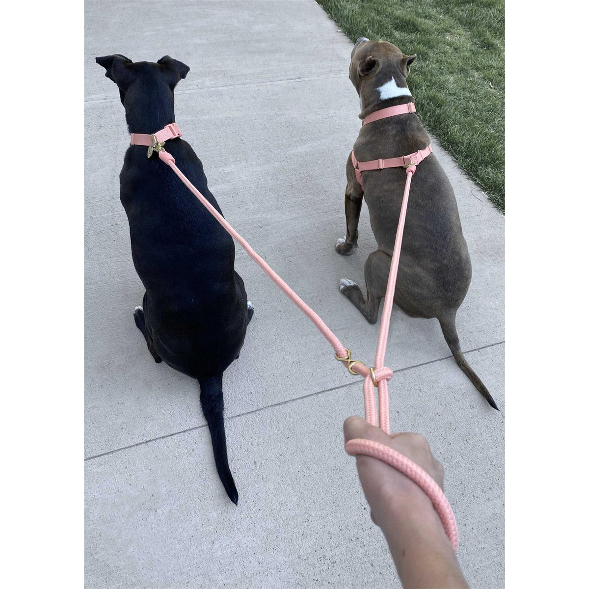 Pet Leash J9223