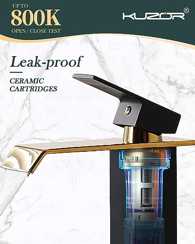 Black and Gold Single Hole Stainless Steel Bathroom Faucet Z457968