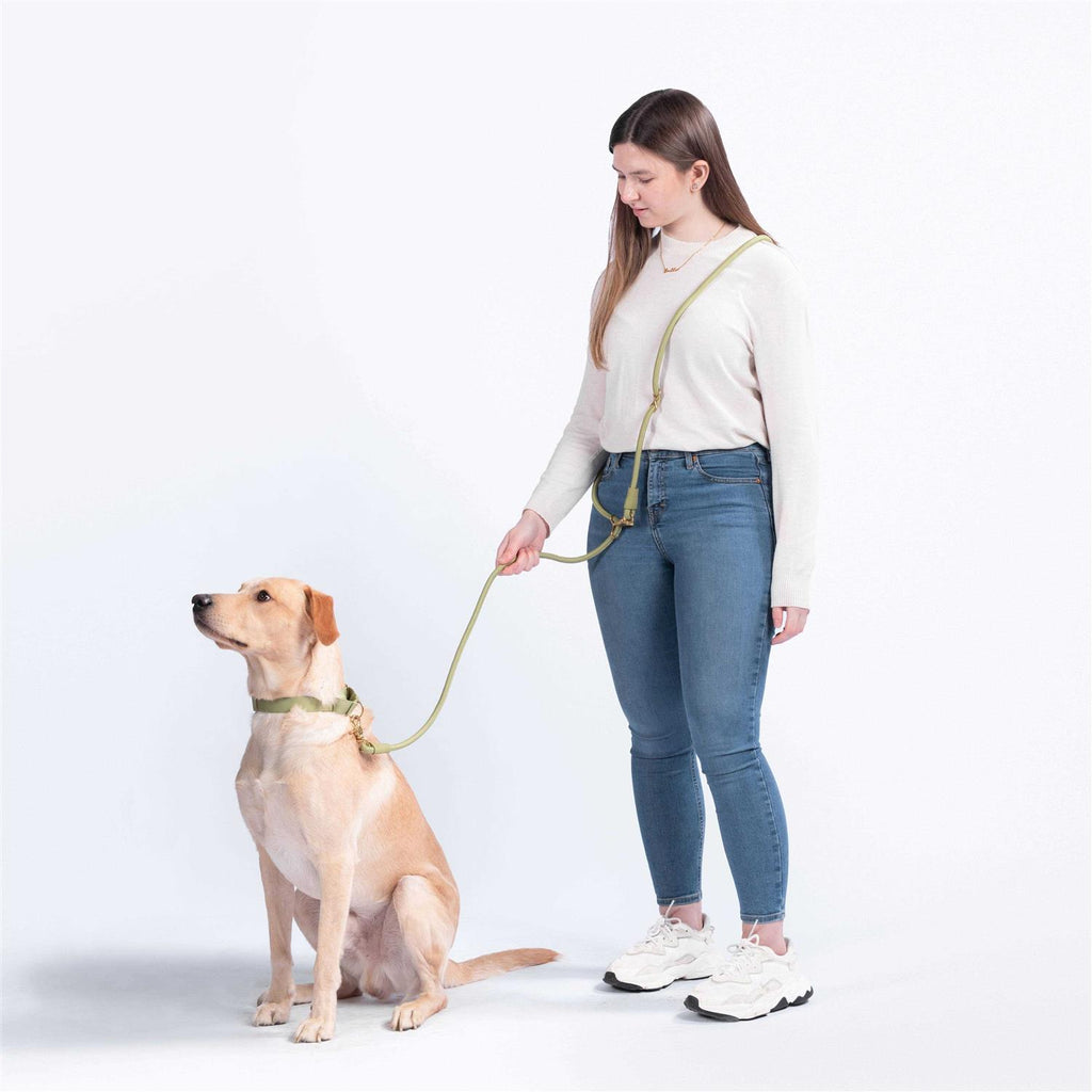 Pet Leash J9223