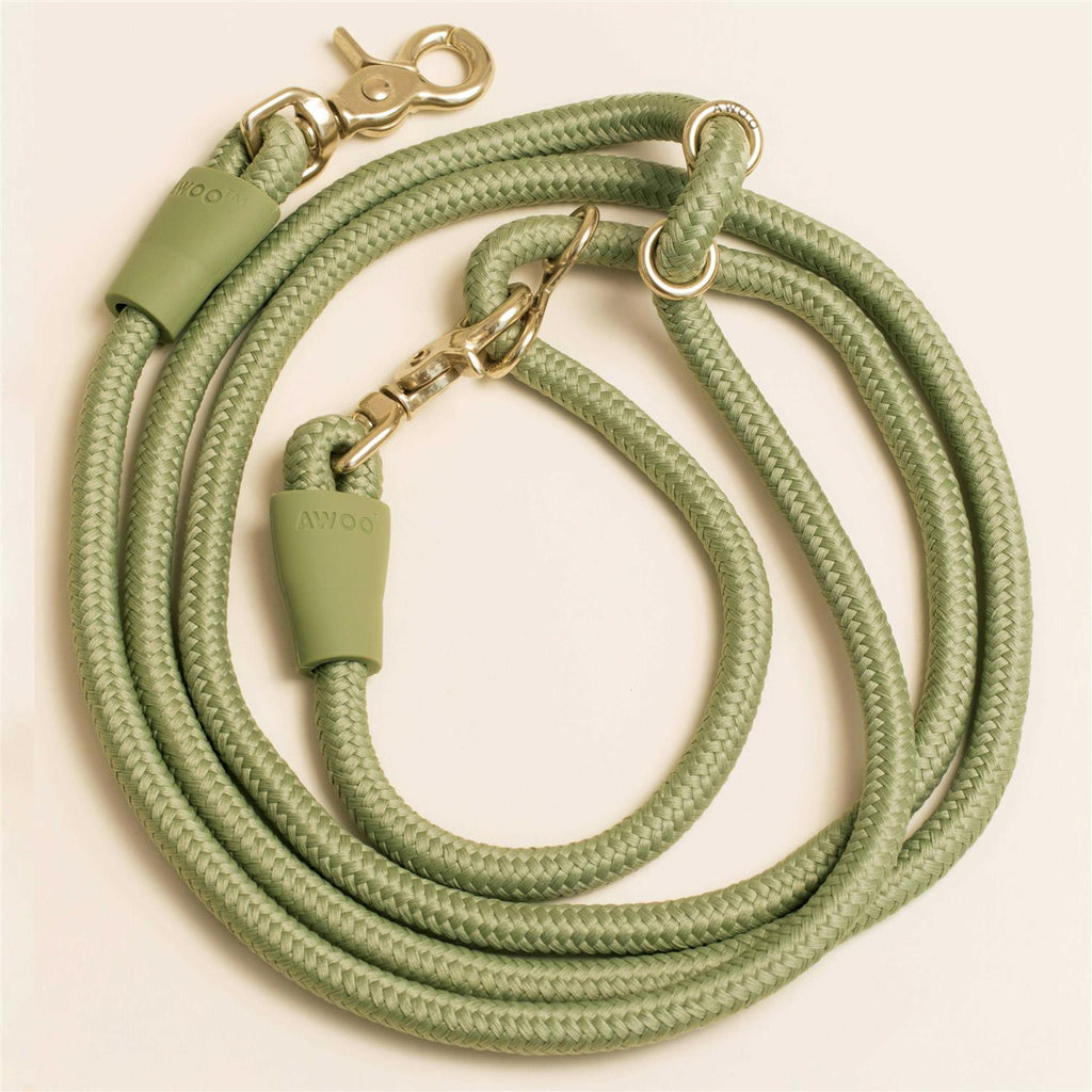 Pet Leash J9223