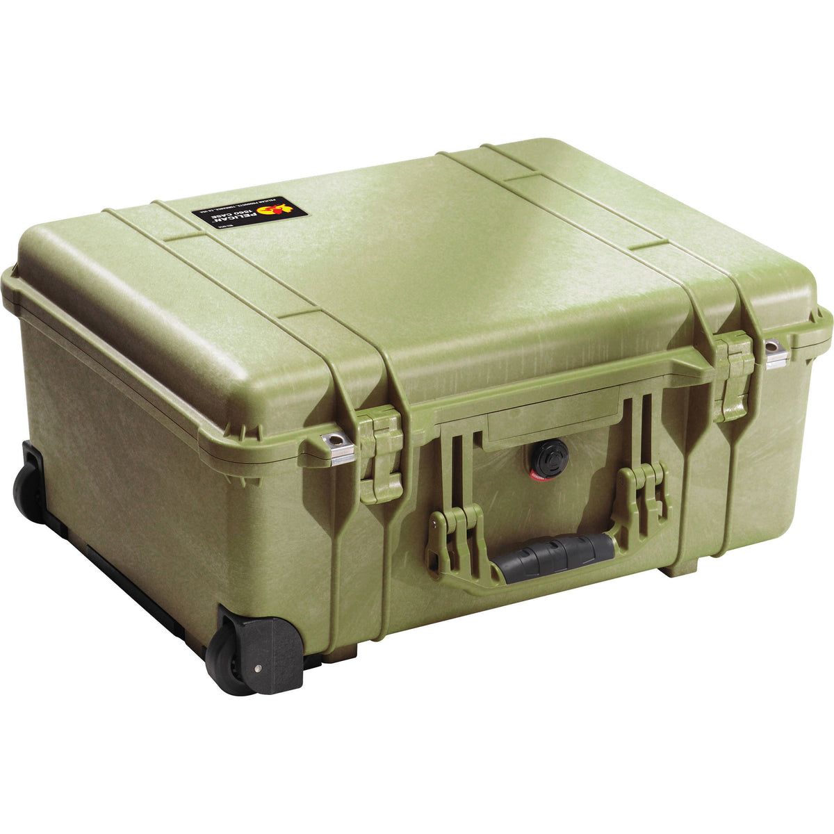Watertight Case Olive Green G3963