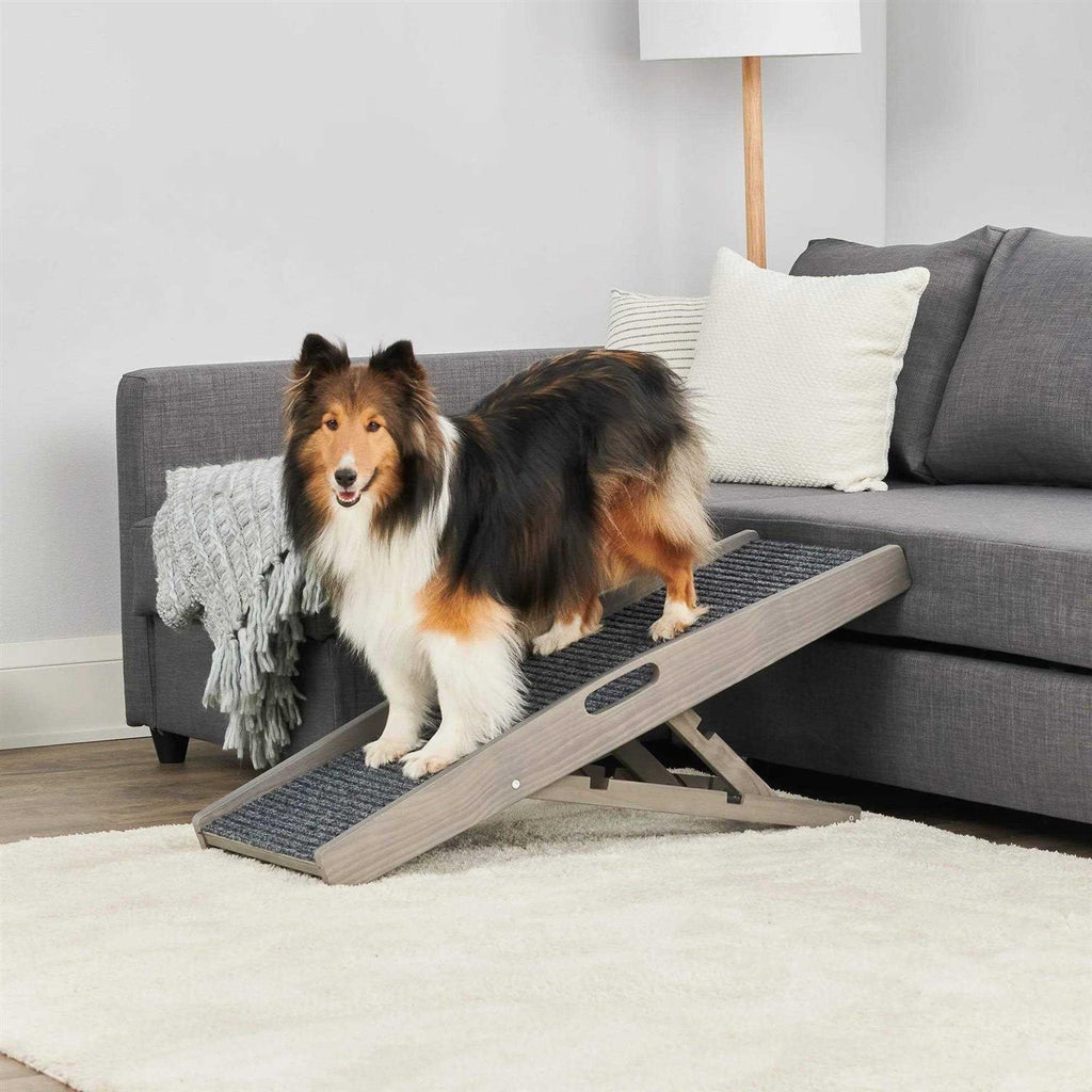 Indoor Pet Ramp D4393