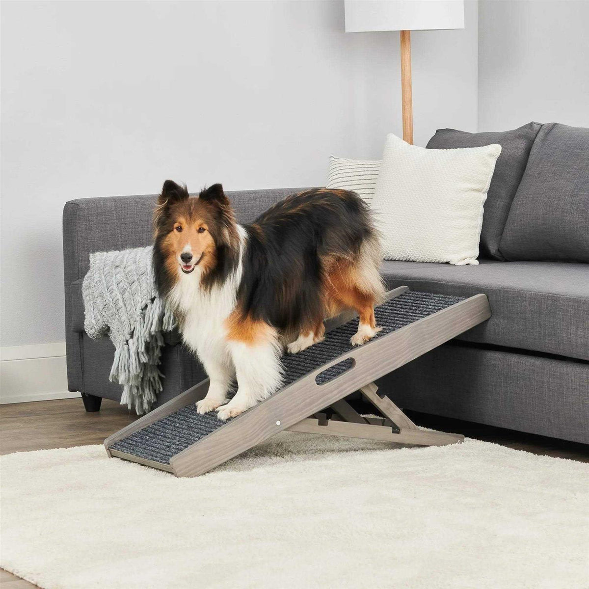 Indoor Pet Ramp D4393