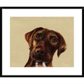 Bright White Framed Print J6683