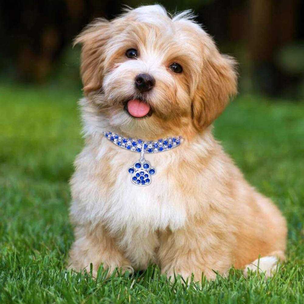 Adjustable Crystal Diamond Pet Collar U816