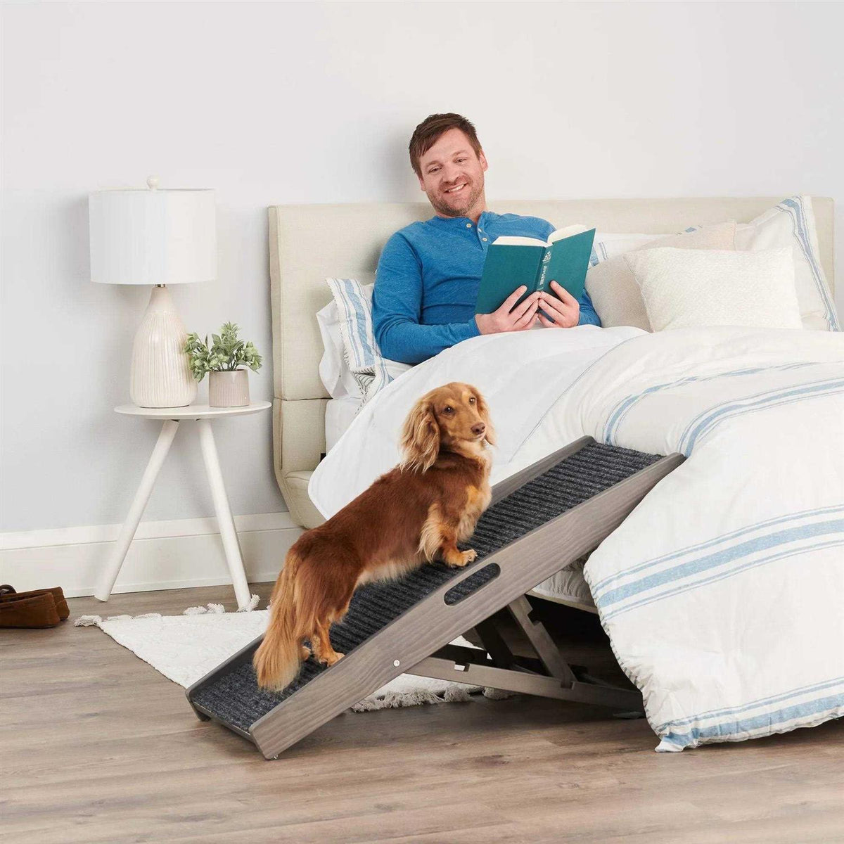 Indoor Pet Ramp D4393