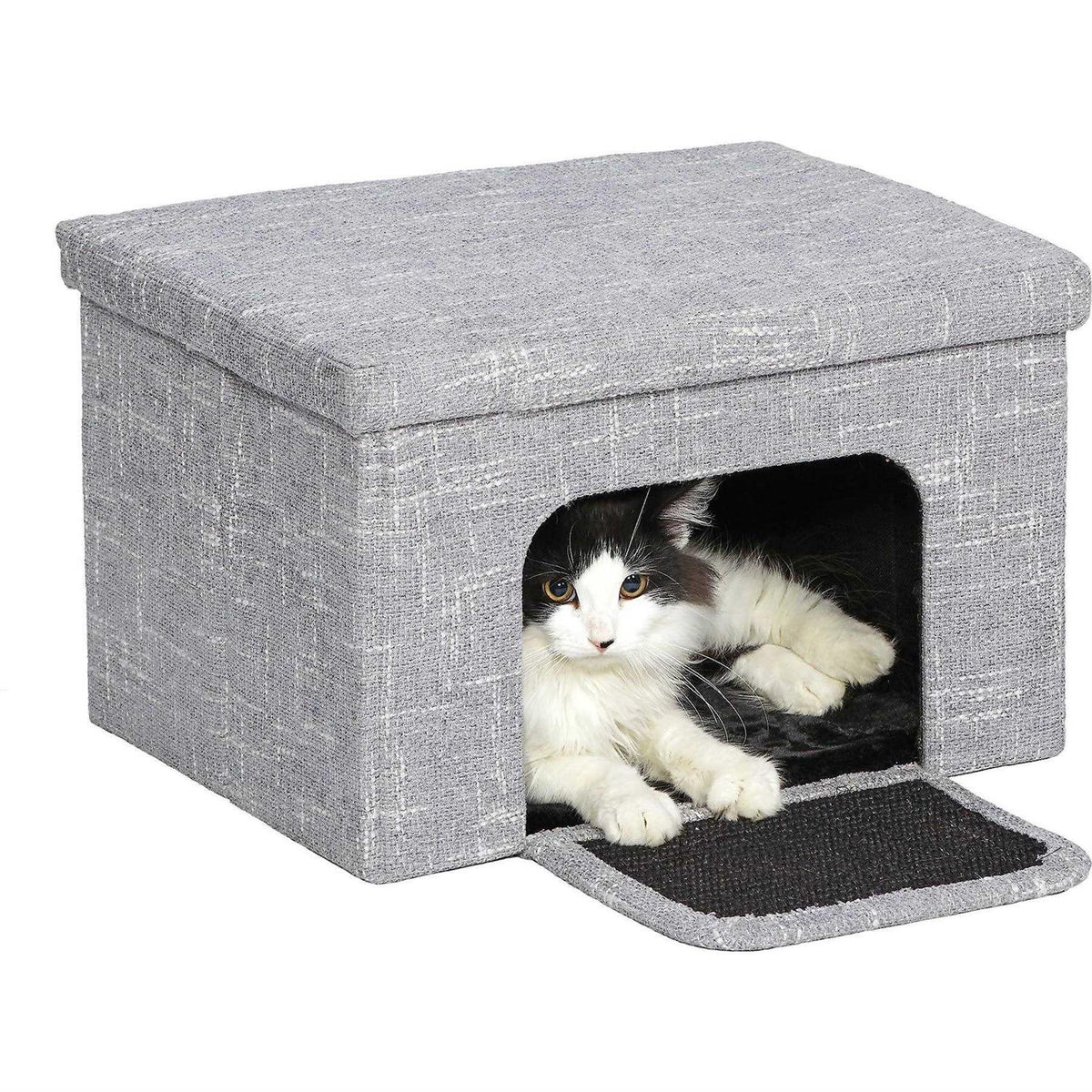 Curious Cat Cube J582220