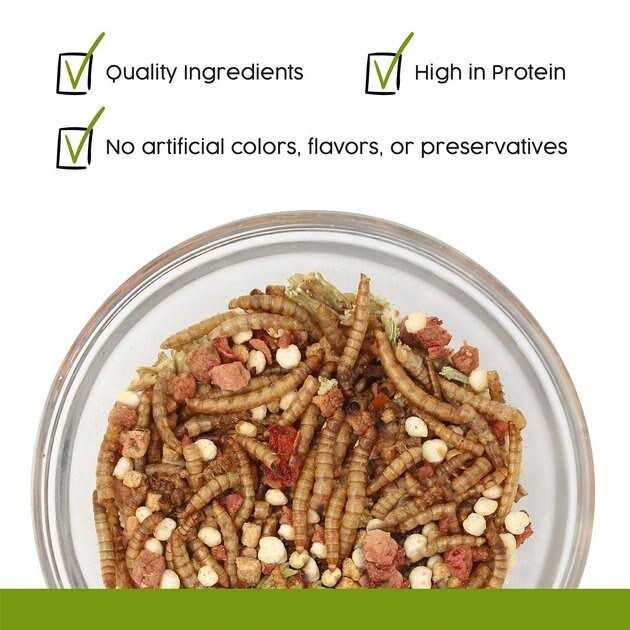 Hedgehog Treat Q829969