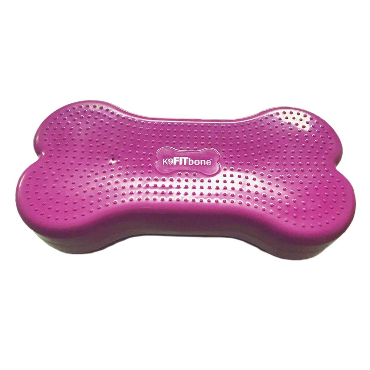 Agility Training Pet Supplies E33562