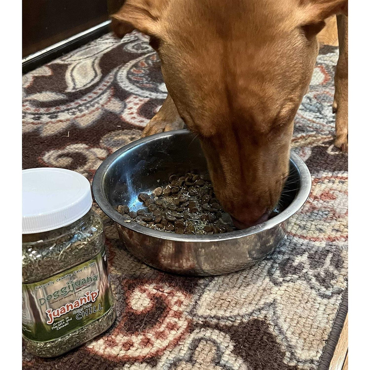 3.67-oz jar Pet Supplies M942220