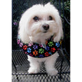 Dog Fence Safety Bumper R294