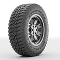 All-Terrain Tire W236082