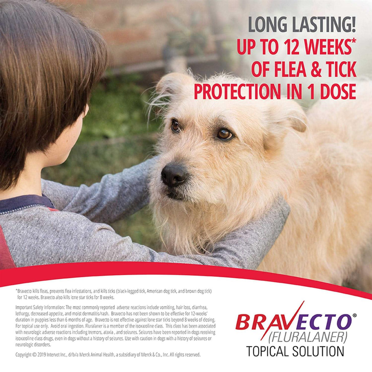 Topical Solution for Dogs G30212
