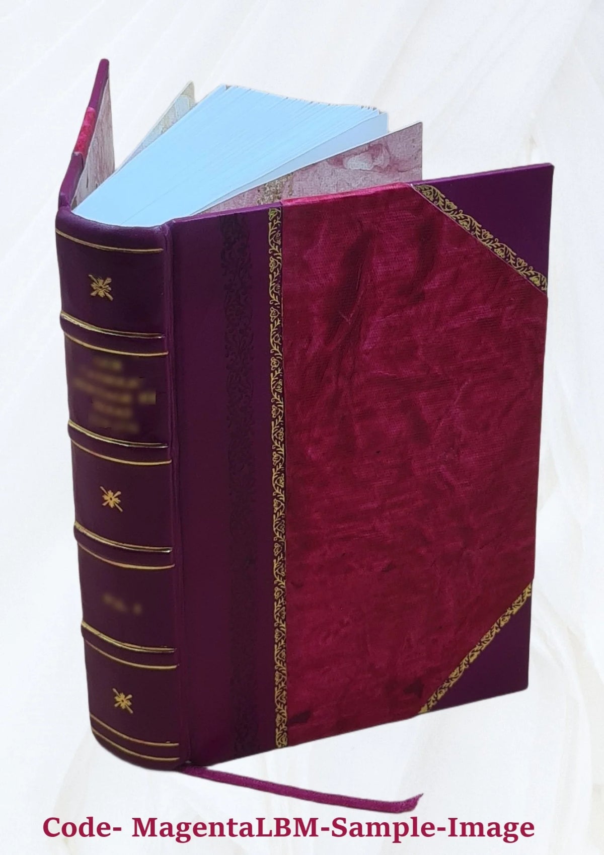 Leather Bound Book N6310