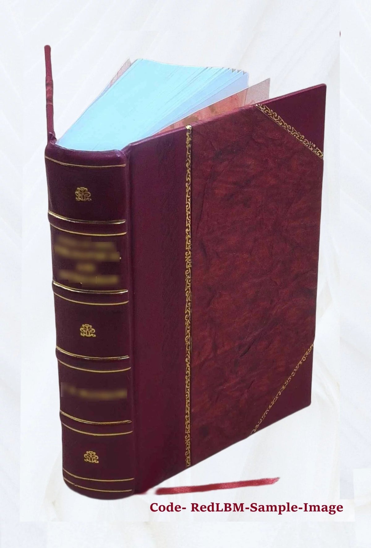 Leather Bound Book N6310