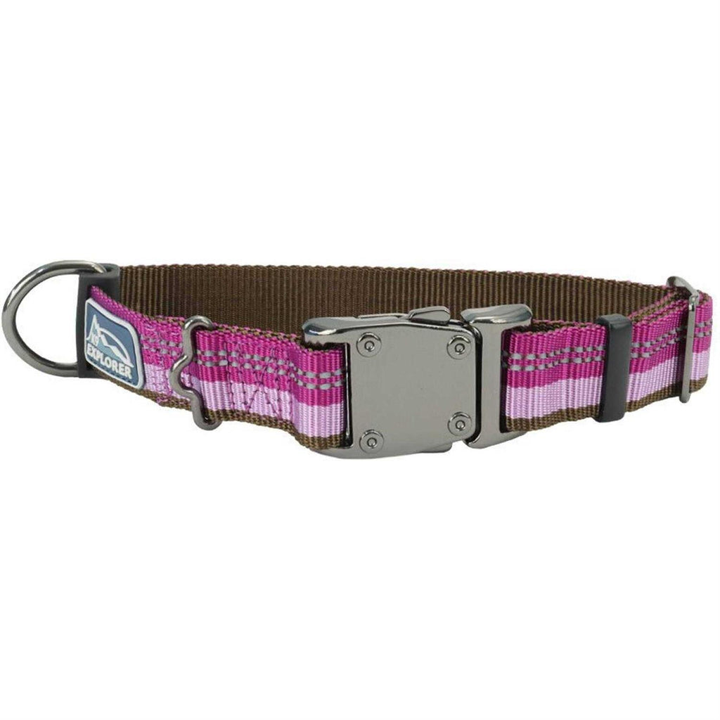 Reflective Adjustable Dog Collar B6969