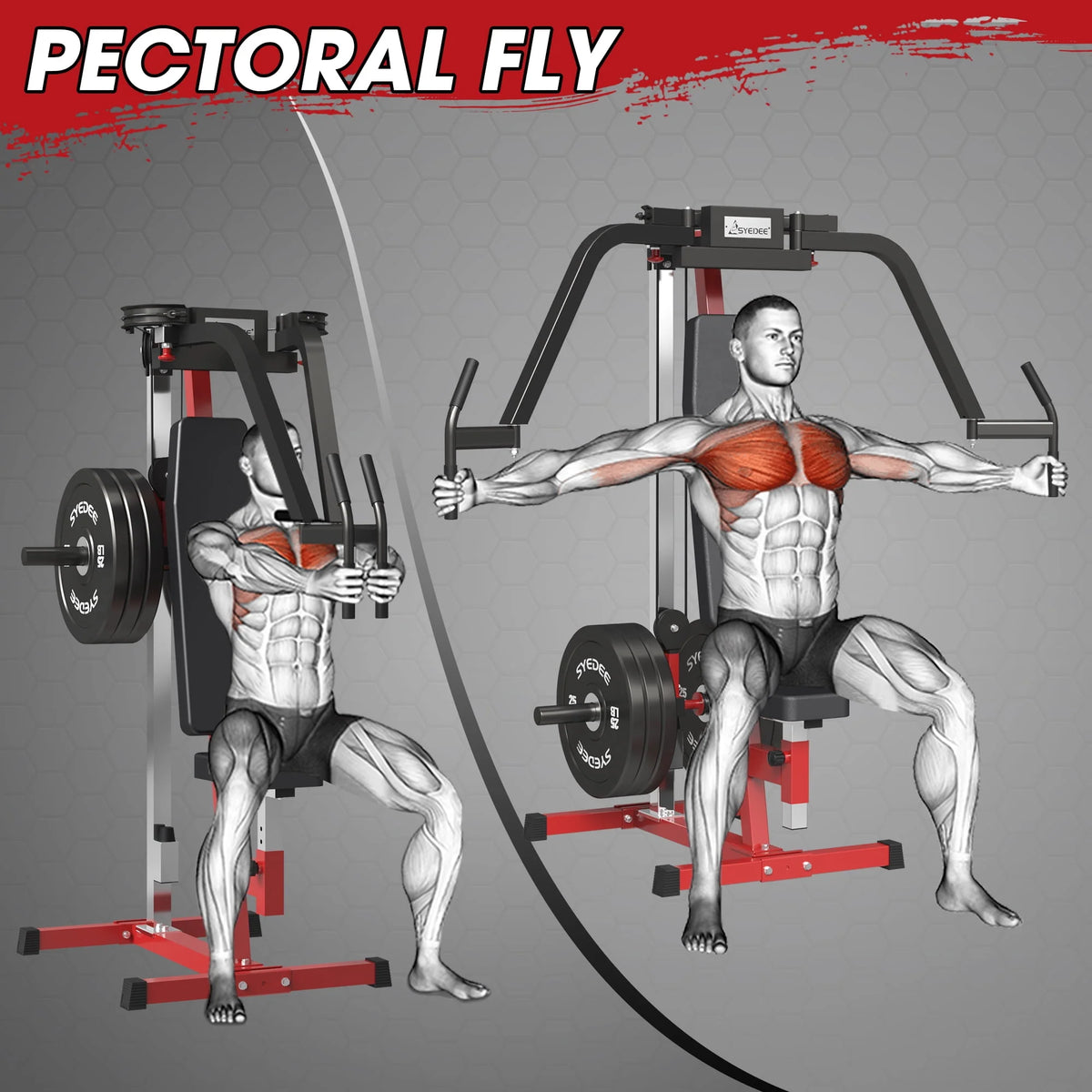 Chest Fly and Reverse Delt Machine 400 lbs Y9729