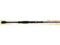 Saltwater Casting Fishing Rod J423606