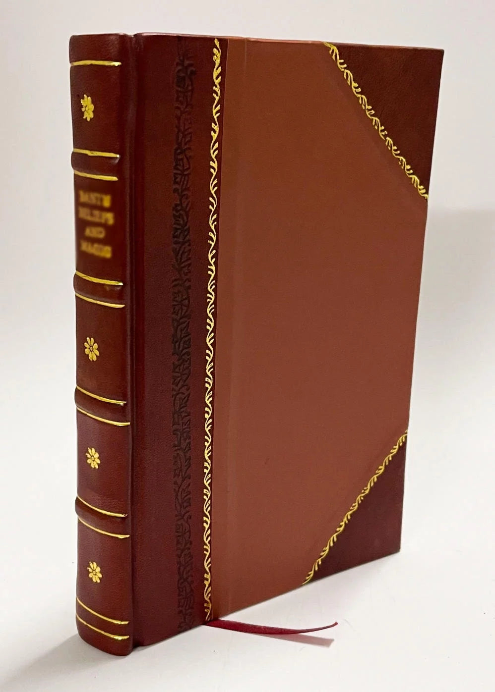 Leather Bound Book N549
