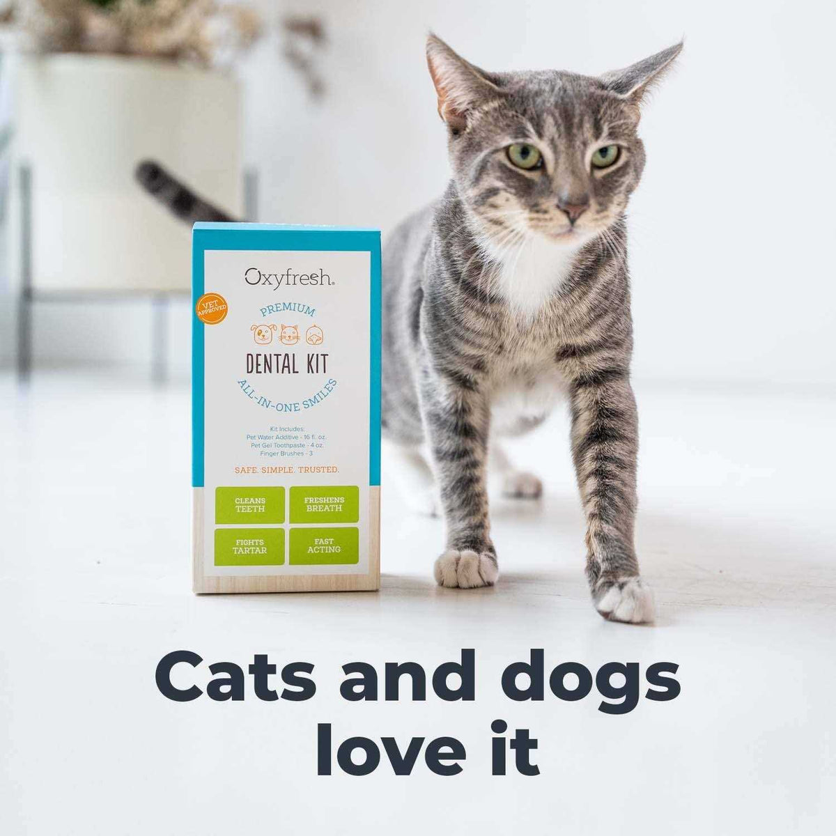 Pet Dental Kit W146