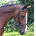 Black Oak Raised Hunter Bridle B431