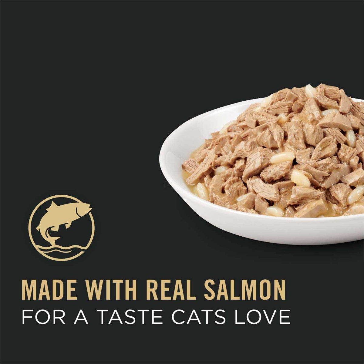Adult Cat Food Salmon & Rice Entree in Sauce D6012