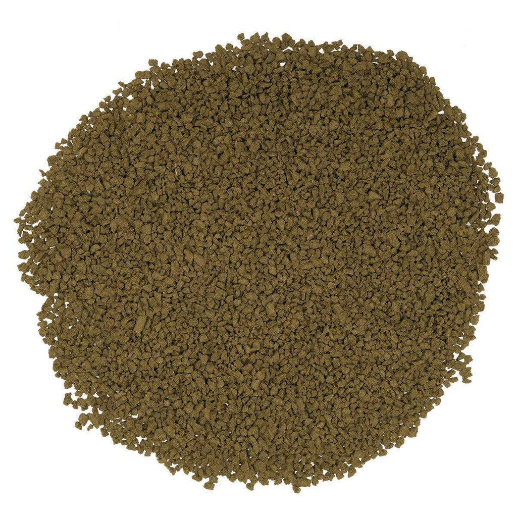 Bug Bites Pleco Formula Sticks for Medium-Large Fish M89989