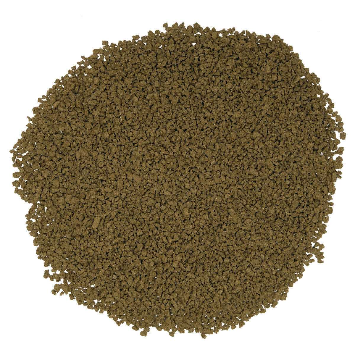 Bug Bites Pleco Formula Sticks for Medium-Large Fish M89989
