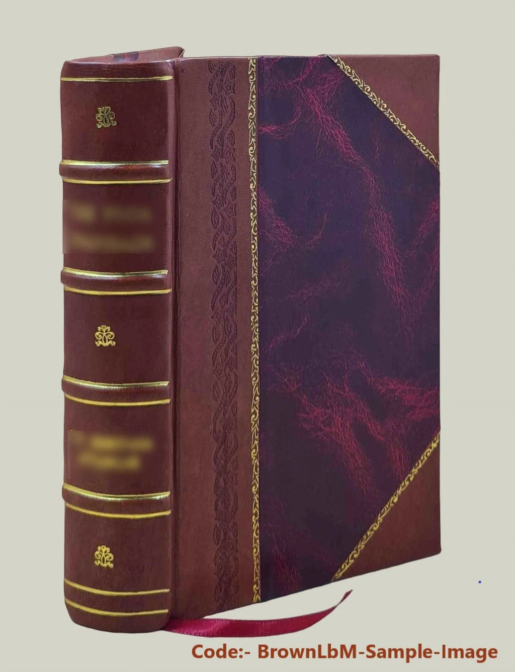 History of St. Charles, Montgomery, and Warren Counties, Missouri Leather Bound M8879