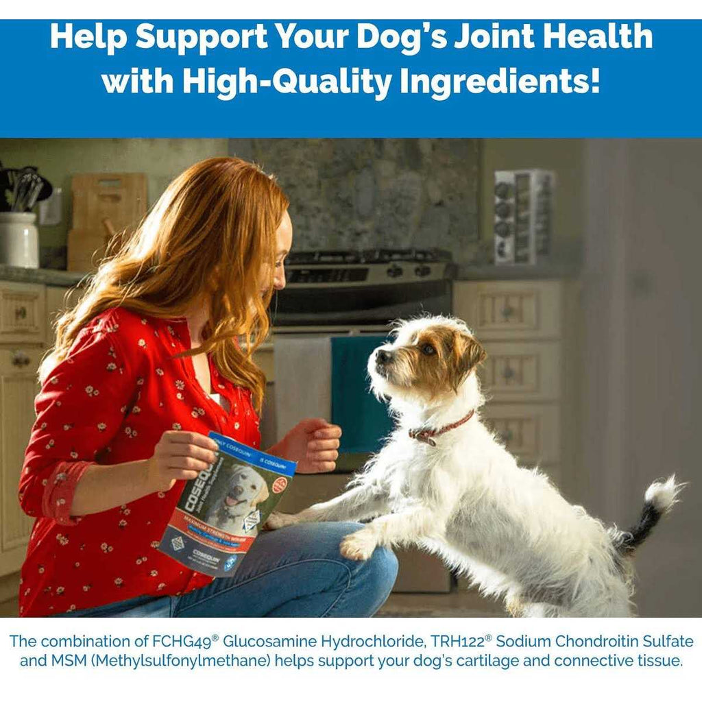 Soft Chews with MSM Plus Omega-3s for Dogs H195