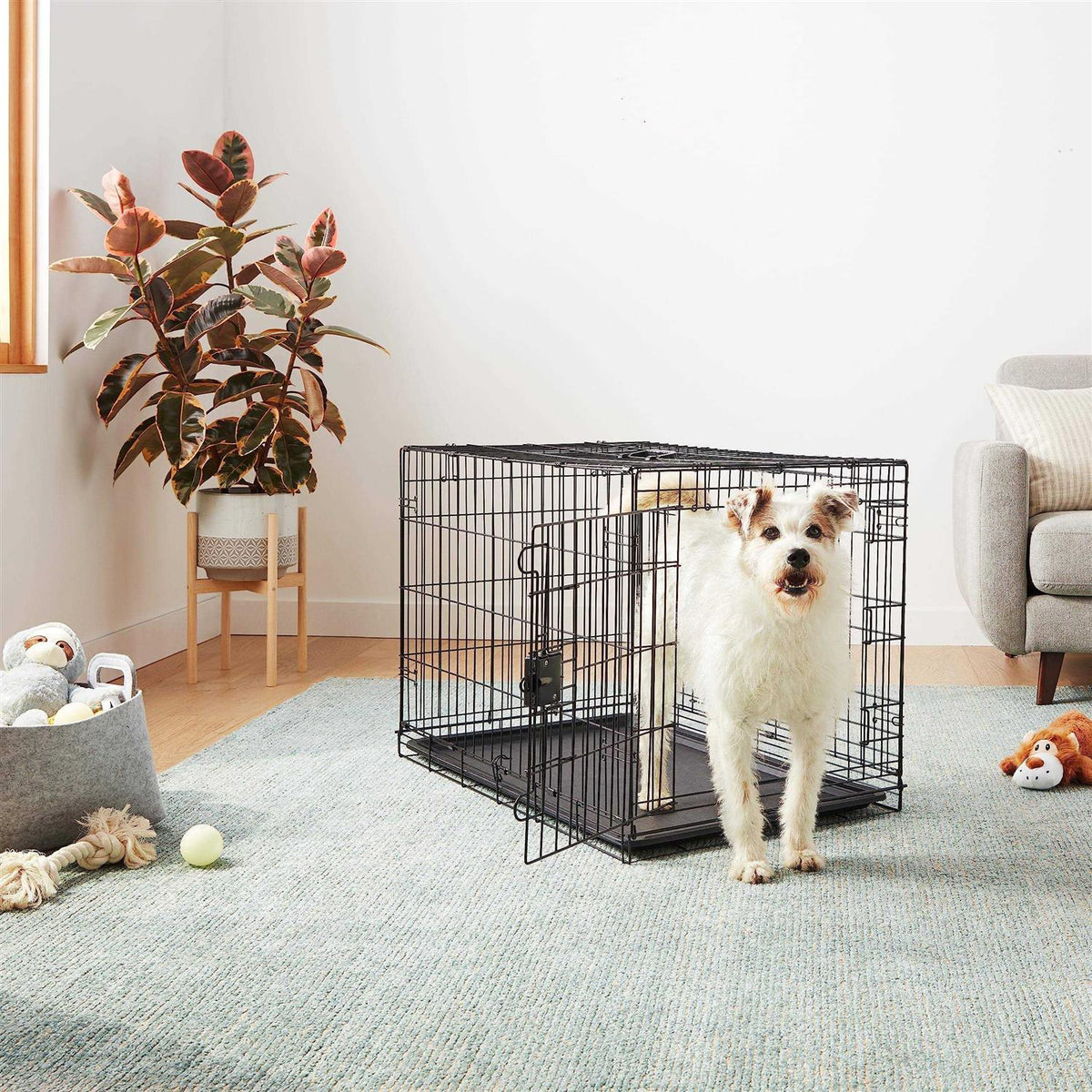 Foldable Metal Wire Dog Crate with Tray X5394