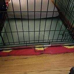 Metal Replacement Dog Crate Pan F2988