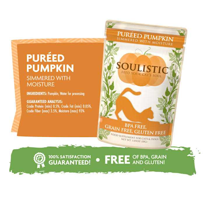 Pureed Pumpkin Food Supplement for Cats & Dogs V4405