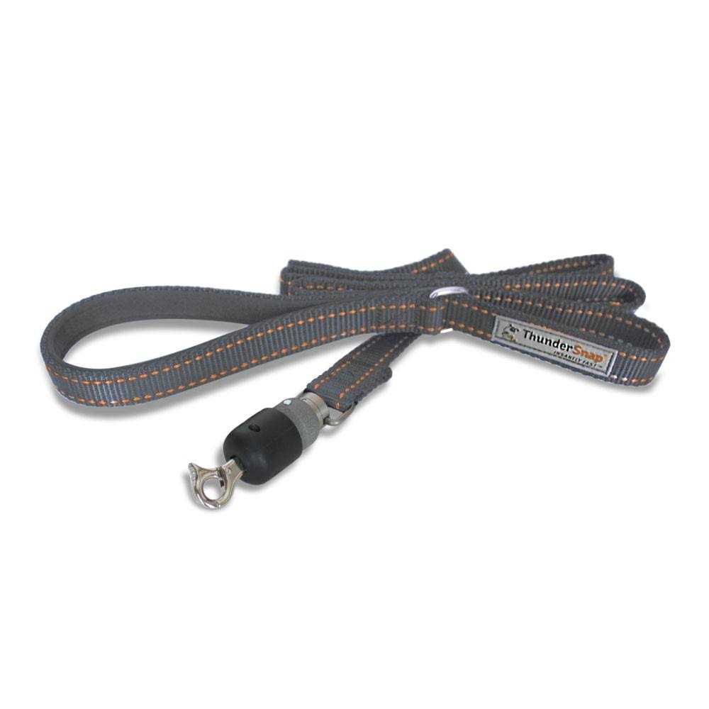 Quick-Connect Dog Leash T75047