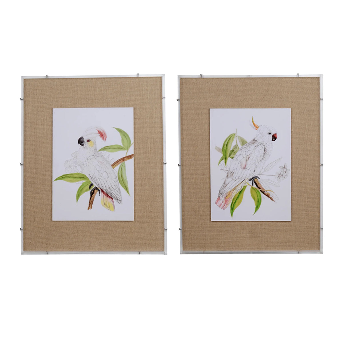 Watercolor Framed Wall Art 30" x 24" Brown and White 2ct N4398