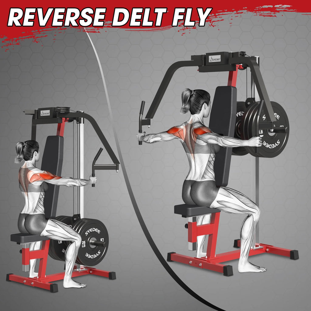 Chest Fly and Reverse Delt Machine 400 lbs Y9729
