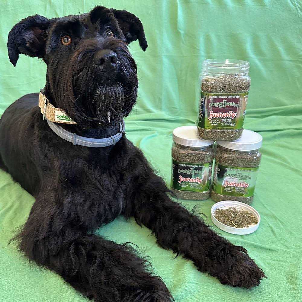 3.67-oz jar Pet Supplies M942220