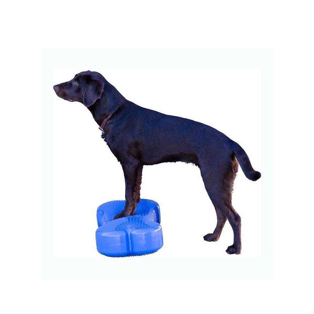 Agility Training Pet Supplies E33562