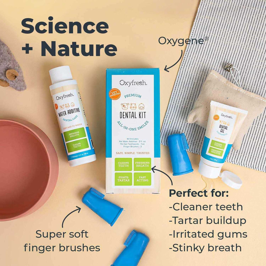 Pet Dental Kit W146